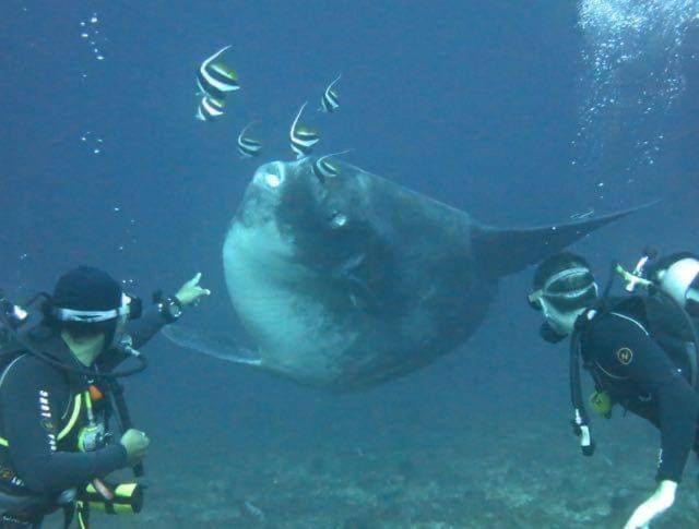 Pondok Bambu Resort - 5 Stars Padi Dive Centre Candidasa Zewnętrze zdjęcie